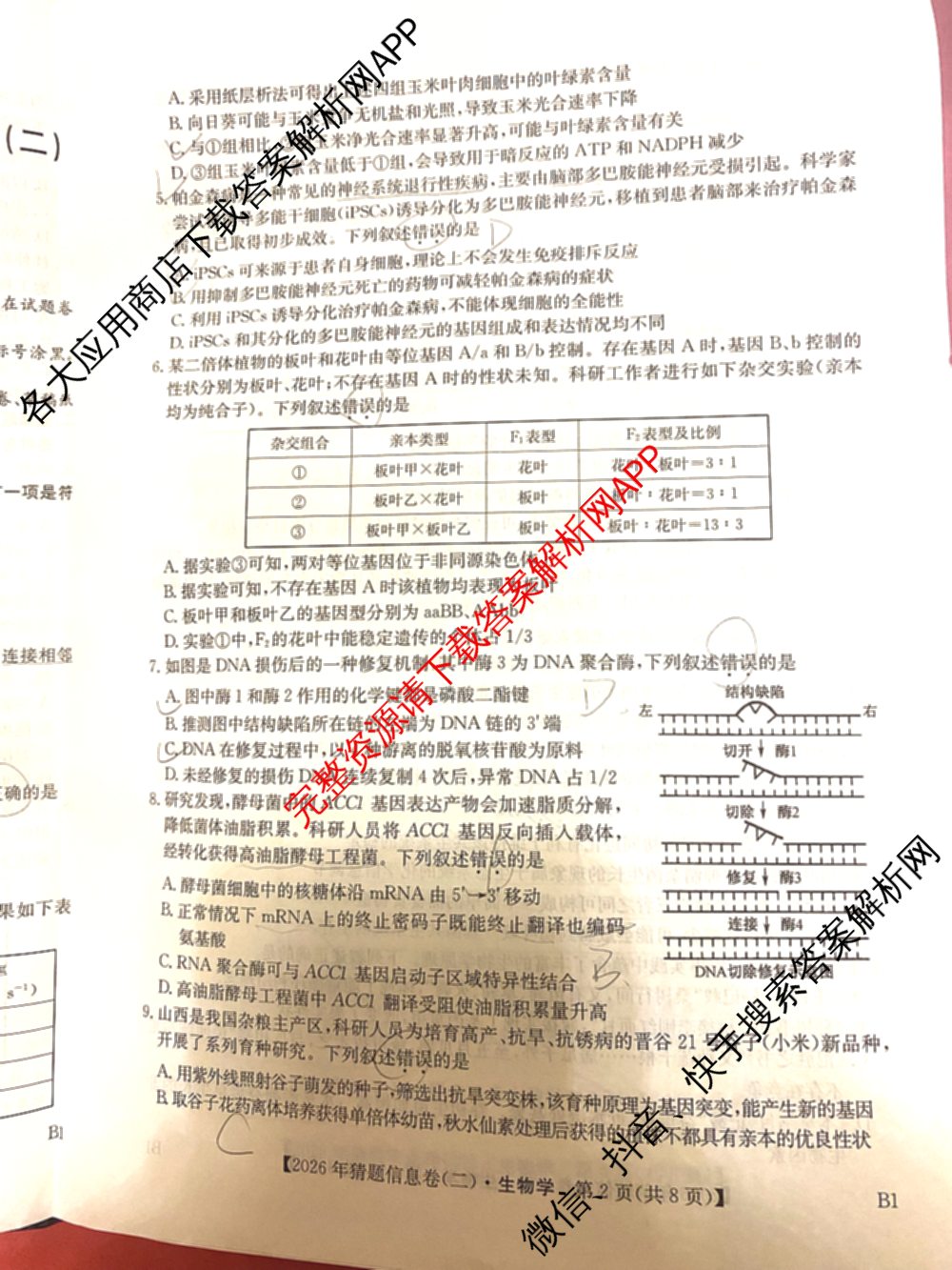 2026年普通高等学校招生全国统一考试猜题信息卷(二)2（含政治(B2)、化学(B2)、物理(B3)等）生物试题