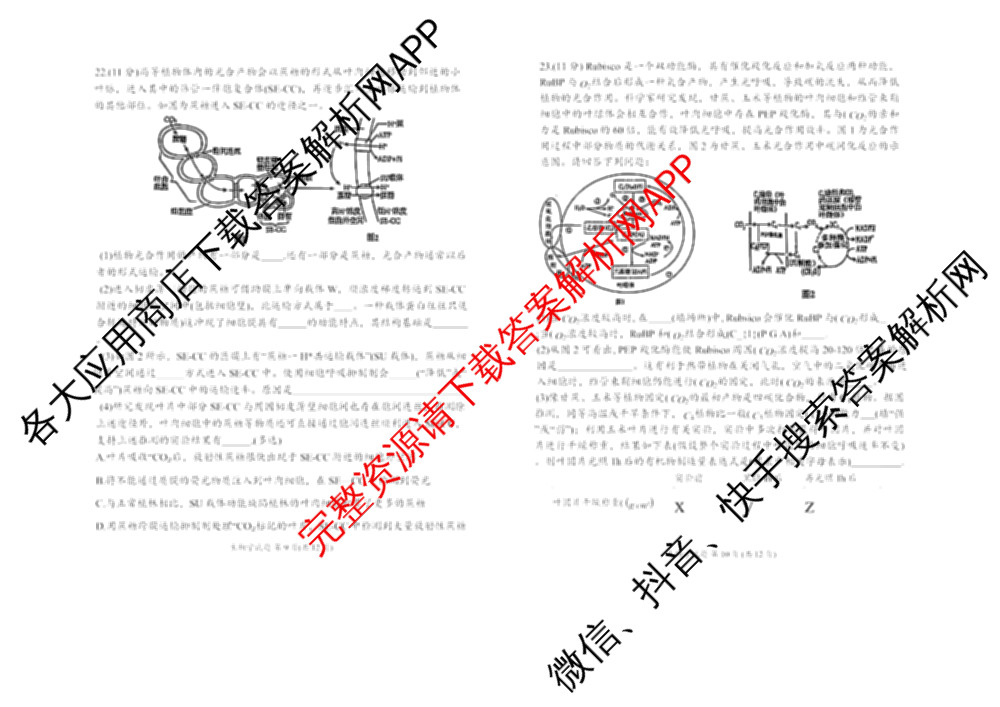 哈三中2025-2026学年度上学期高三学年第一次验收考试试卷及答案汇总（含物理 历史 生物等）生物答案