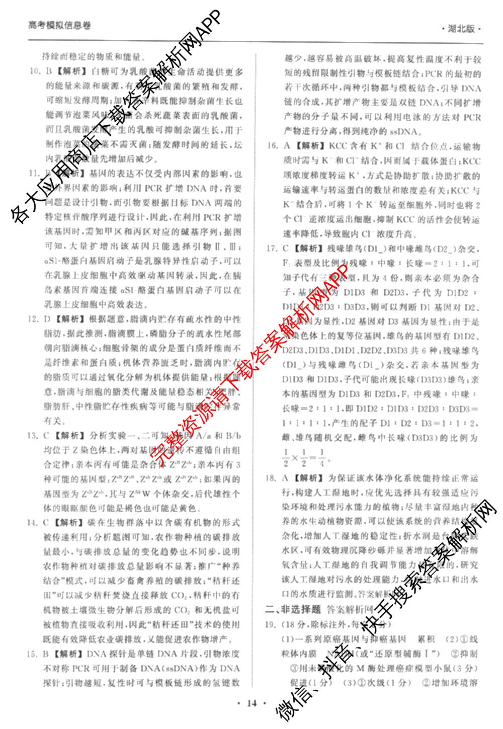 天舟高考衡中同卷2026年普通高等学校招生全国统一考试模拟信息卷(四)4试卷及答案汇总: 含化学(山东版)、生物(WY)、英语(B)试卷解析生物答案