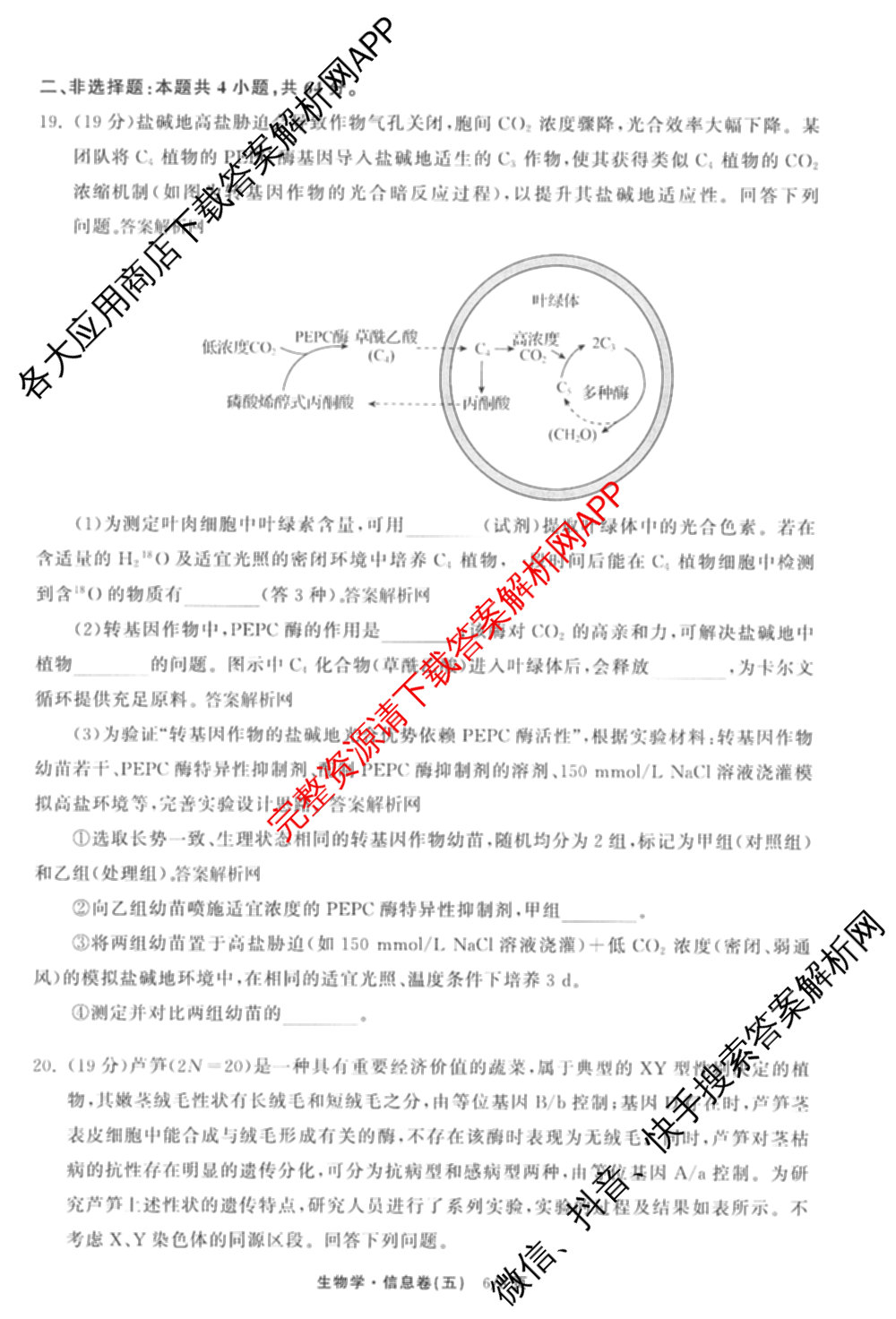 天舟高考衡中同卷2026年普通高等学校招生全国统一考试模拟信息卷(五)5（含理综(新疆版)、生物(WY)、英语(B)等）生物试题