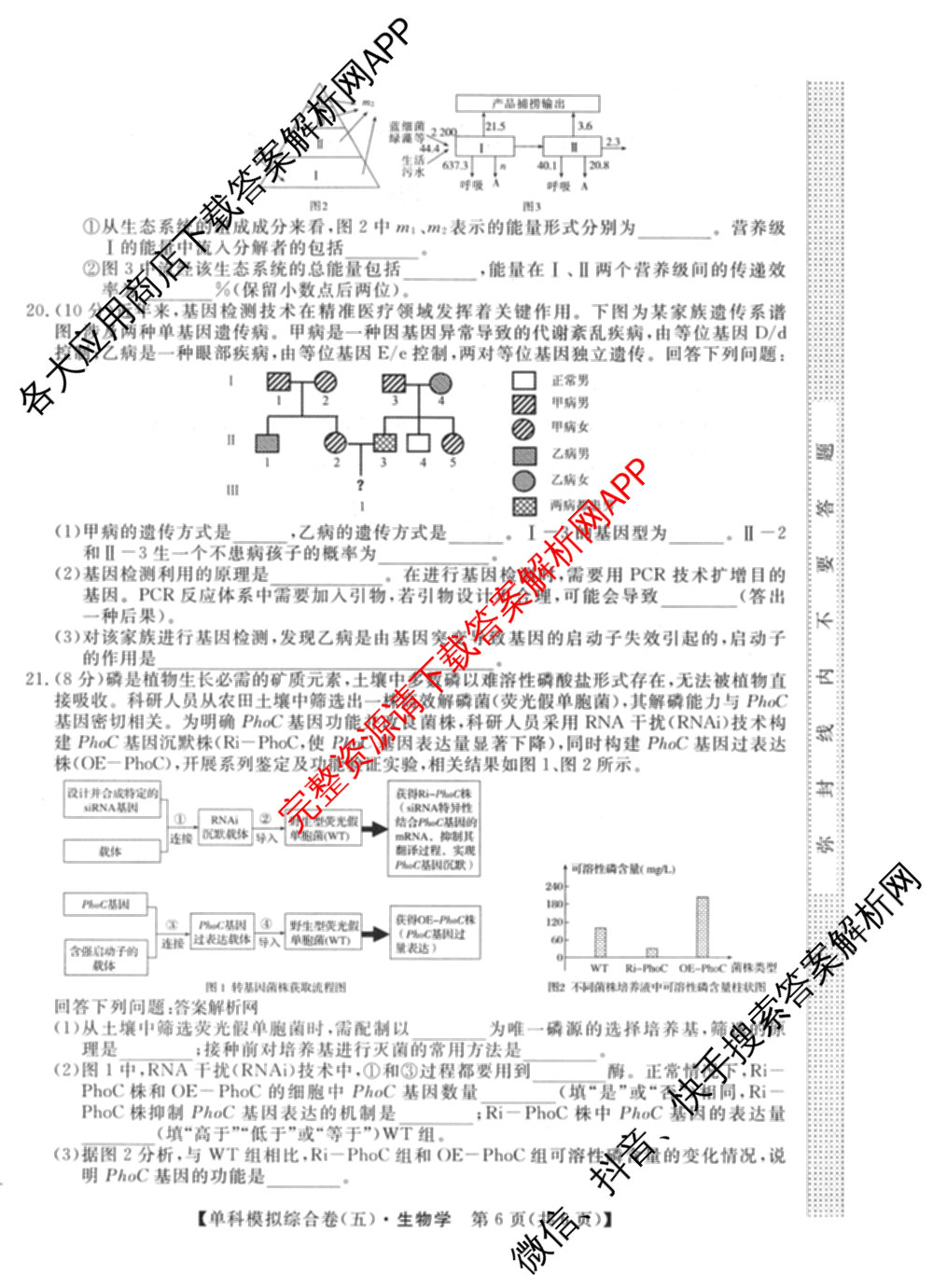 2027新高考单科模拟综合卷(五)各科答案及试卷（含数学(A) 英语 政治等）生物试题