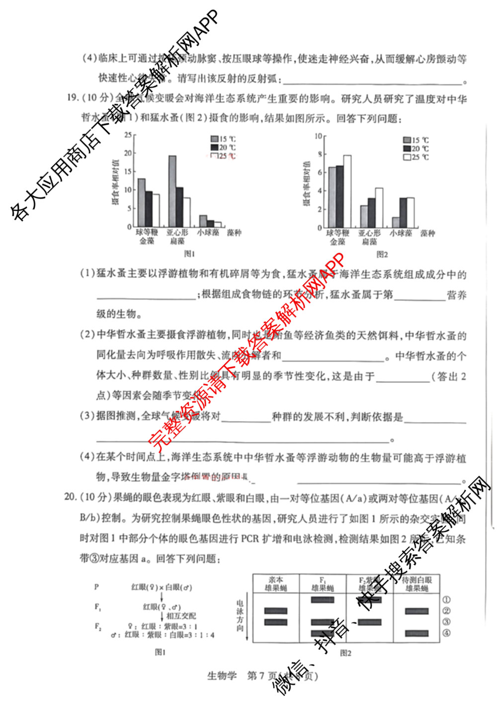 天一大联考2025-2026学年高三4月联考(HN202604)(4.7)试卷及答案汇总（含数学、化学、地理等）生物试题