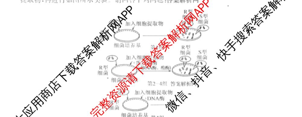 2025~2026全国名校高一下学期第二次月考试卷（含化学(必修第二册-RJ-G-唐) 地理(必修第二册-LJ-G-唐) 语文(必修下册-BB-X-F-唐)等）生物试题