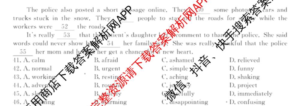 2024-2025学年福建百校高二期末考试(7月)各科答案及试卷（含化学(A)、数学(A)、物理(A)等）英语试题