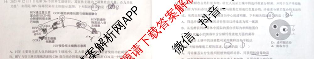 红河州、文山州2024年高二高中学业质量监测试卷及答案汇总（含数学 物理 生物等9份）生物试题