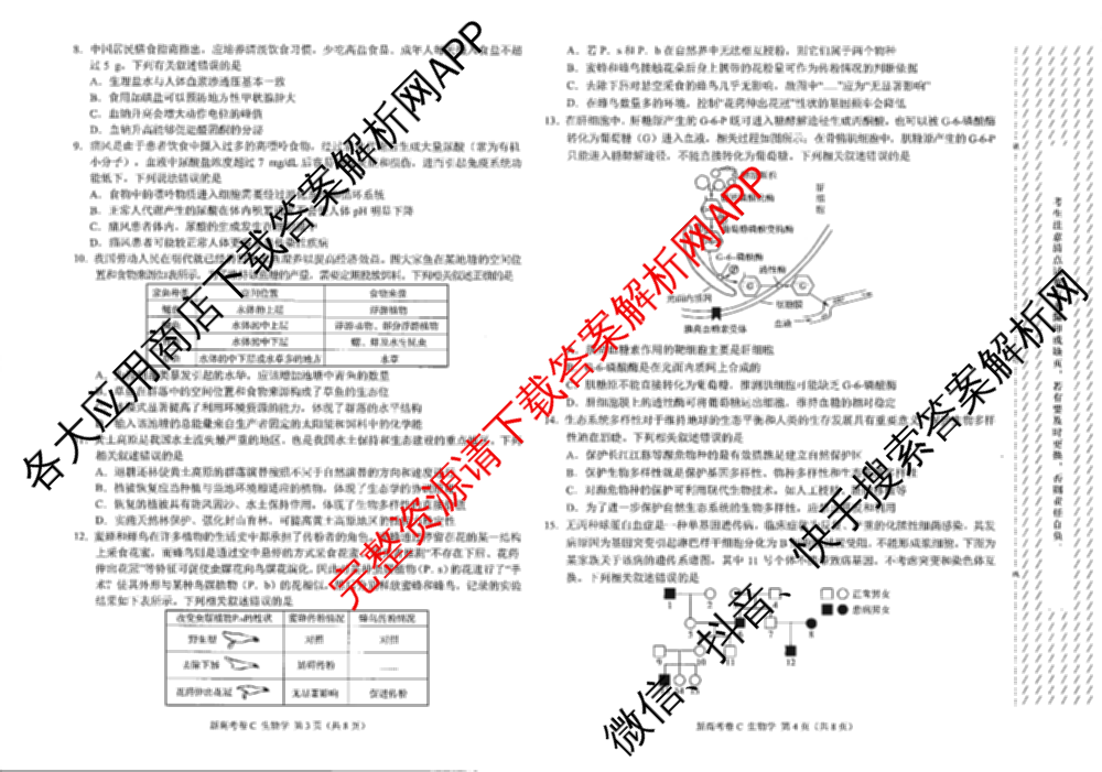 学科网2025届高三4月大联考试卷及答案汇总（含物理(新高考卷C) 文综(新课标卷) 英语(新课标卷A)等）生物试题