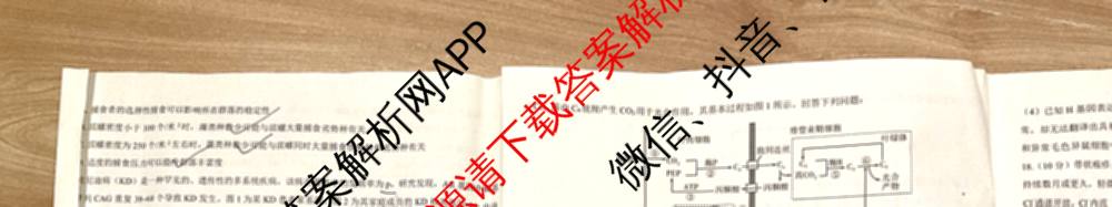 三重教育2025年高考适应性考试(二)各科答案及试卷（含历史(C) 地理(A) 物理等）生物试题