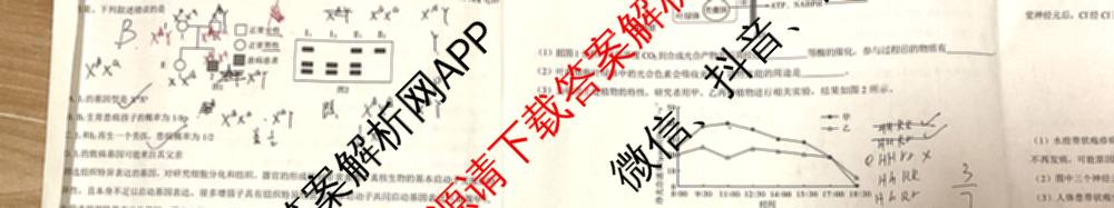 三重教育2025年高考适应性考试(二)各科答案及试卷（含历史(C) 地理(A) 物理等）生物试题