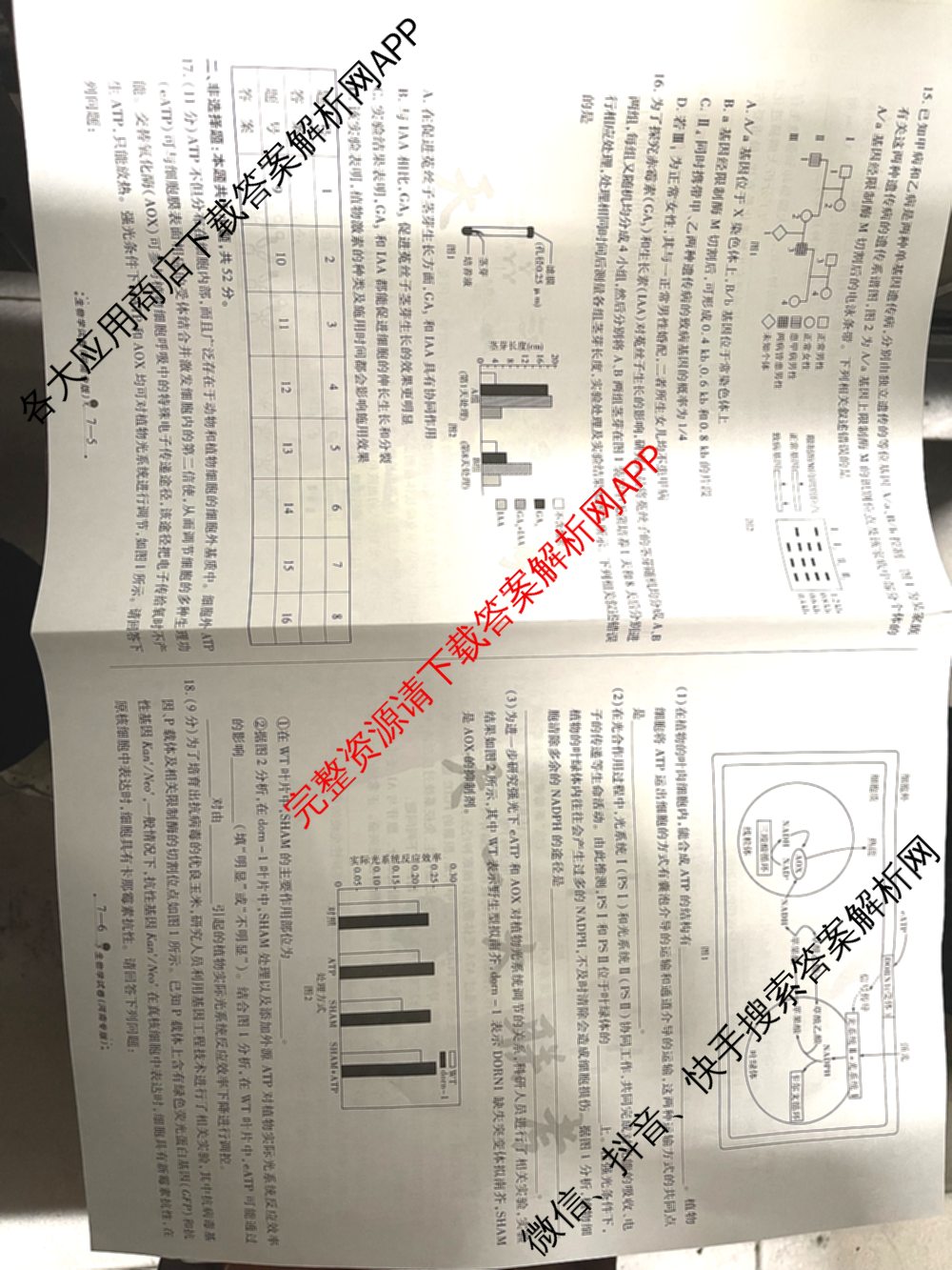 天一大联考2025届高考全真模拟卷(七)7试卷及答案汇总(已更新化学(河南专版) 历史(安徽专版) 历史(河南专版)等39份)生物试题
