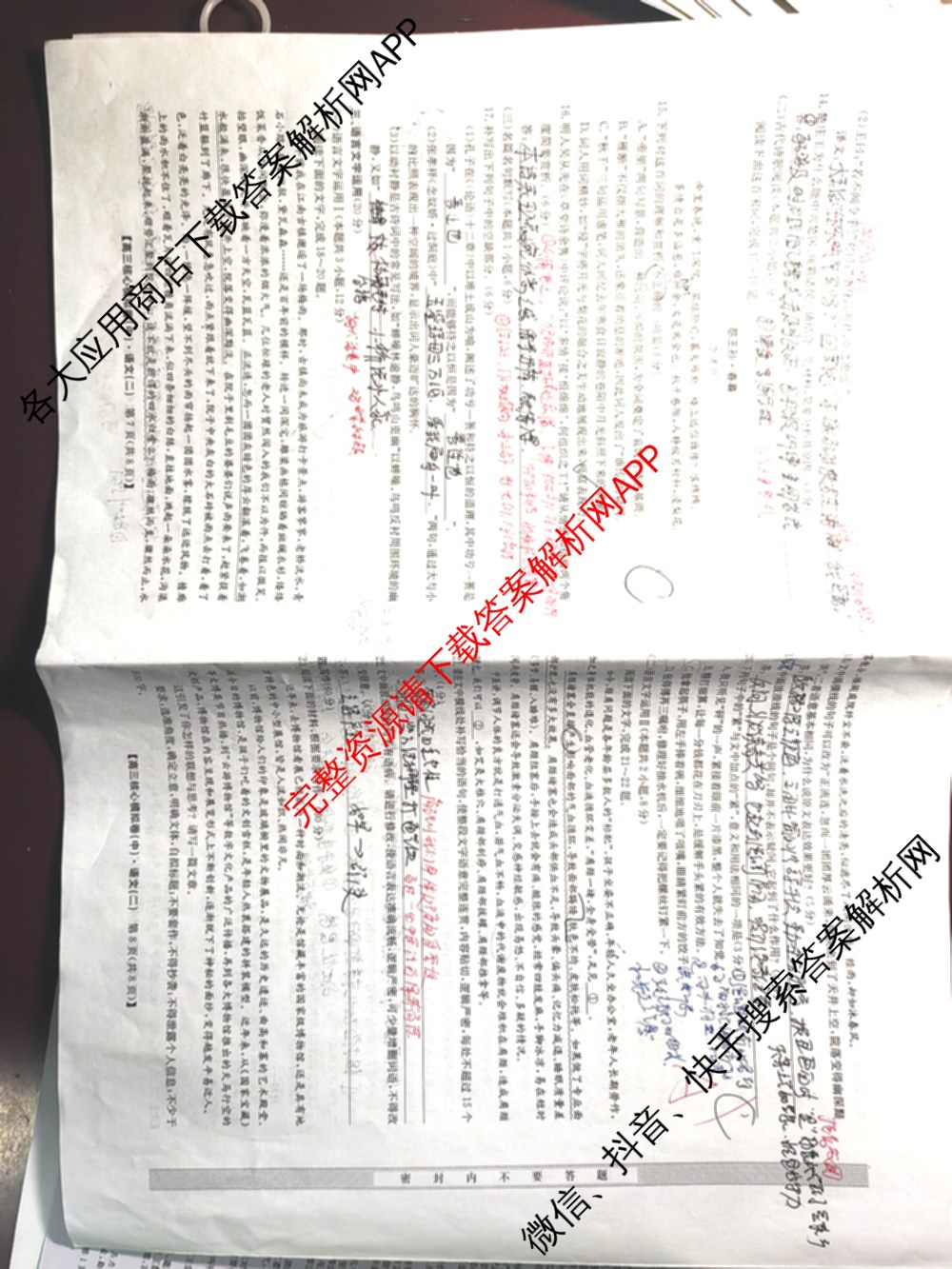 九师联盟2024~2025学年高三核心模拟卷(中)(二)2（含历史 地理(D4) 数学等29份）语文试题