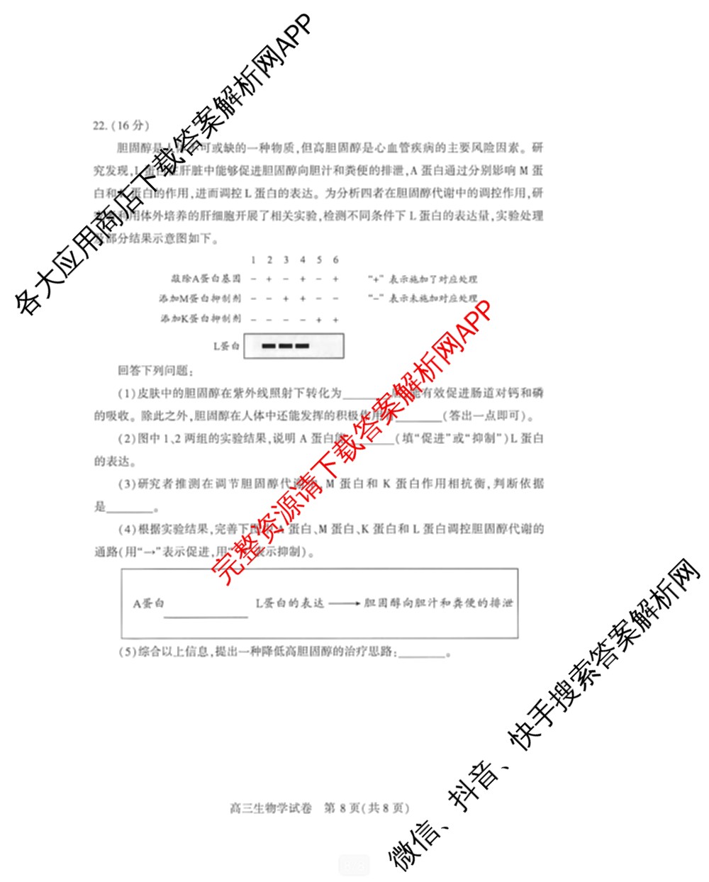 湖北省武汉市2026届高中毕业生三月调研考试2026.3.11（含化学 数学 物理等11份）生物试题
