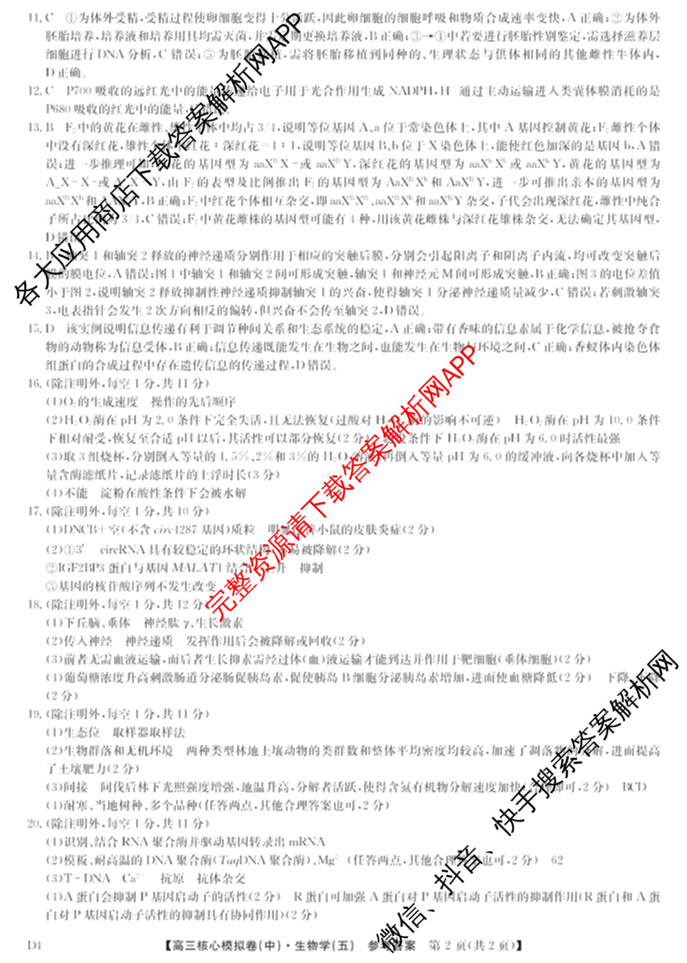 九师联盟2024~2025学年高三核心模拟卷(中)(五)5各科答案及试卷（含地理(HB) 物理(D1) 生物(D1)等）生物答案