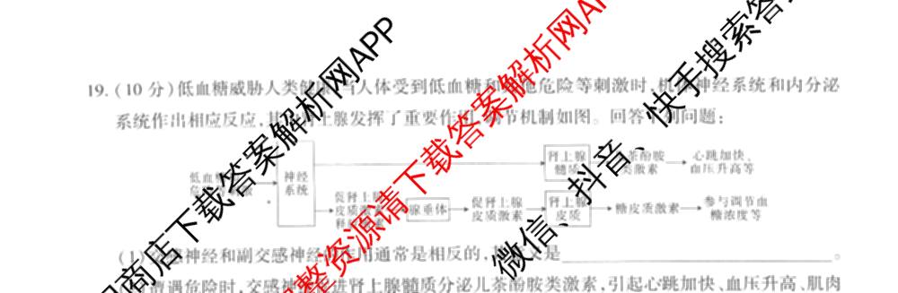 智慧上进2026届高三总复双向达标月考调研卷(六)6各科答案及试卷（含政治 数学(I) 英语(I)等）生物试题