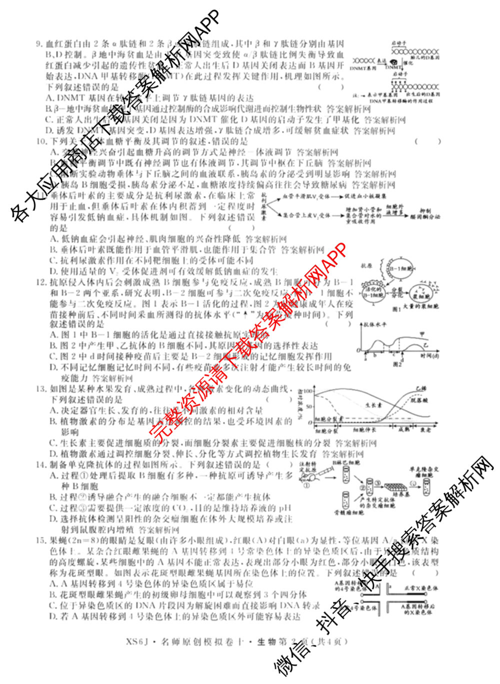 2026届高三总复习名师原创模拟(十)10（含物理(HN6)、英语(新S6)、历史(CQX6)等）生物试题