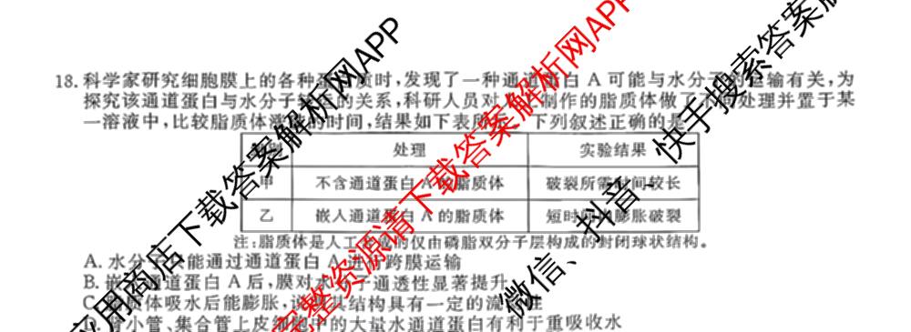 辽宁省点石联盟2027届高三期初学情调研(9.2)各科答案及试卷: 含生物、地理、化学试卷解析生物试题