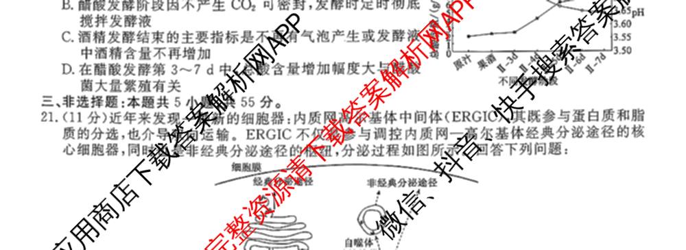 辽宁省点石联盟2027届高三期初学情调研(9.2)各科答案及试卷: 含生物、地理、化学试卷解析生物试题