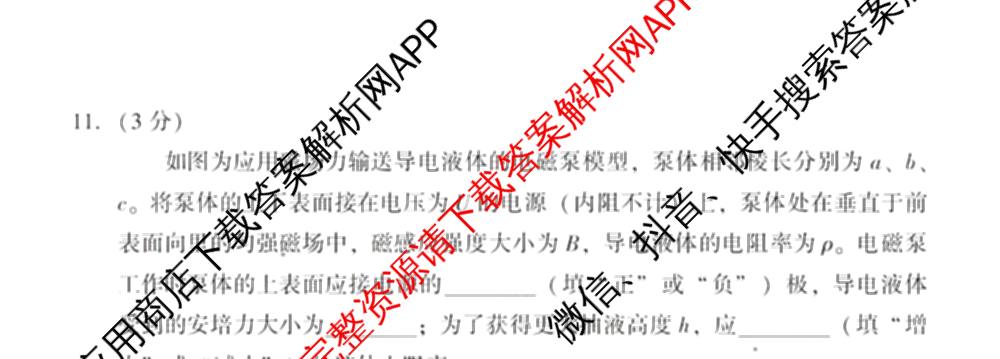 福建省漳州市2025届高中毕业班第一次教学质量检测(已更新地理 政治 物理等9份)物理试题