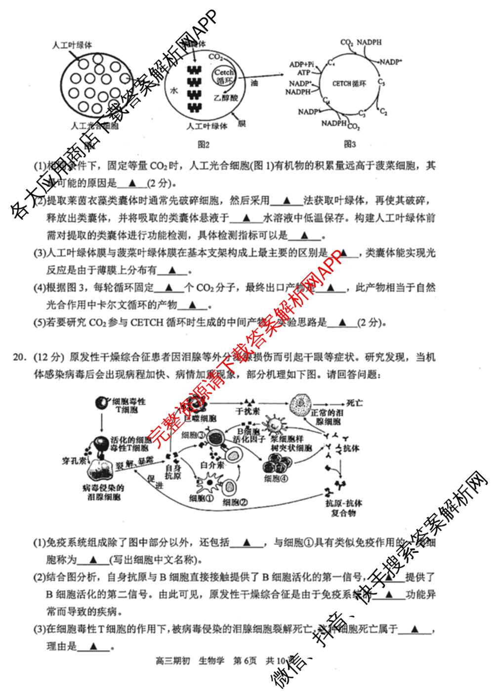 江苏省苏州市2027届高三年级9月阳光调研试卷(2026.09)（含英语、物理、历史等）生物试题