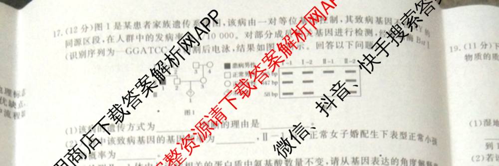 2026普通高等学校招生全国统一考试冲刺押题卷(六)6（16科全）生物试题