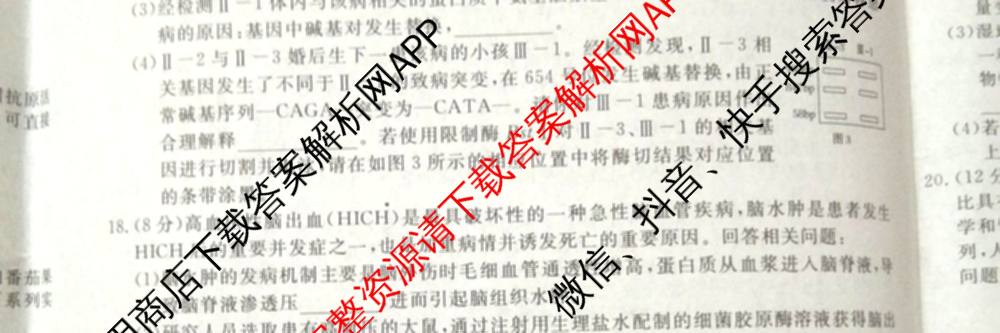 2026普通高等学校招生全国统一考试冲刺押题卷(六)6（含地理(HNY)、语文、生物(HBJ)等）生物试题