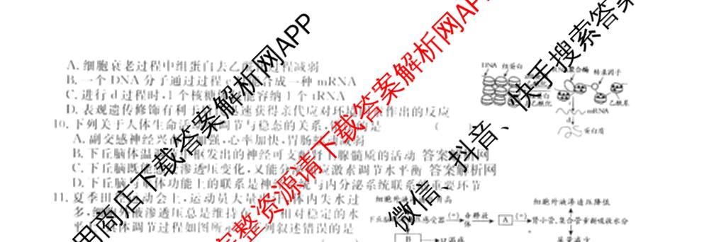 2026届高三总复习名师原创模拟(七)7各科答案及试卷: 含政治(HEN6G)、数学(XS6)、化学(新S6J)试卷解析生物试题