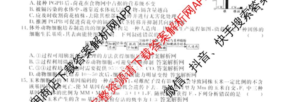 2026届高三总复习名师原创模拟(七)7各科答案及试卷: 含政治(HEN6G)、数学(XS6)、化学(新S6J)试卷解析生物试题