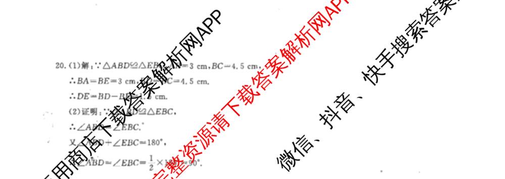 河南省2025-2026学年度第一学期阶段性检测卷(一)八年级（含数学(RJ) 物理(RJ) 英语(RJ)等）数学试题