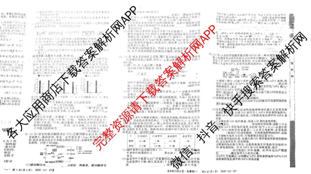 XKB2025届普通高等学校招生全国统一考试冲刺压轴金卷(一)1（含物理(XKB-G10-EX) 英语(XKB-G1-EX) 化学(XKB-G1-H-EX)等）生物试题