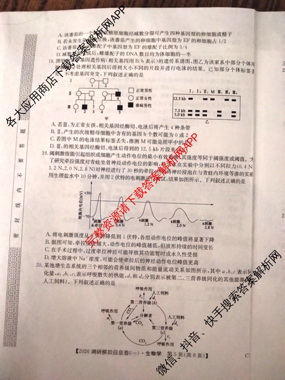 2026届全国高考调研模拟信息卷(一)1各科答案及试卷（含生物(C4) 生物(C2) 物理(C1)等）生物试题