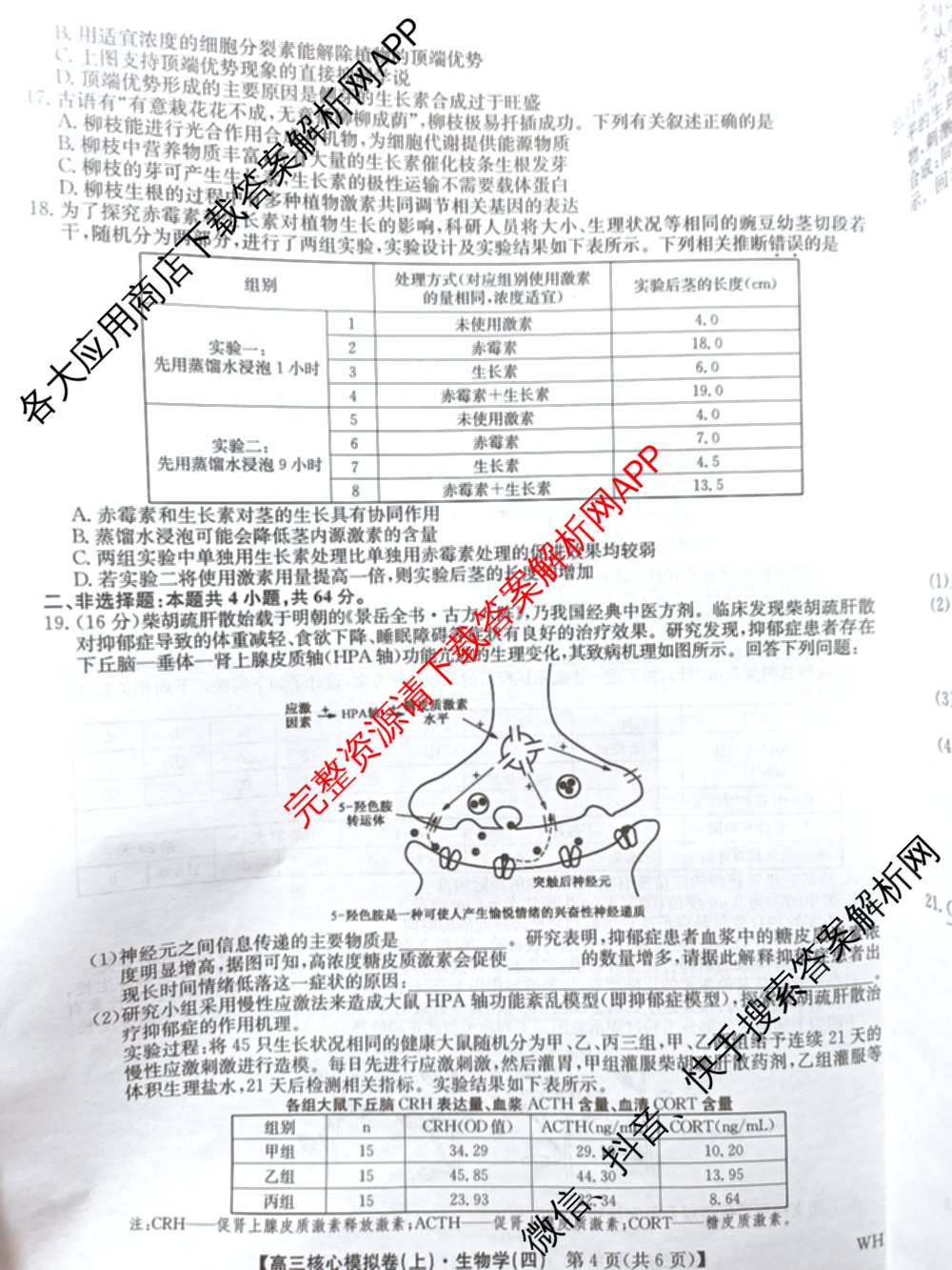 九师联盟2024~2025学年高三核心模拟卷(上)(四)4（18科全）生物试题