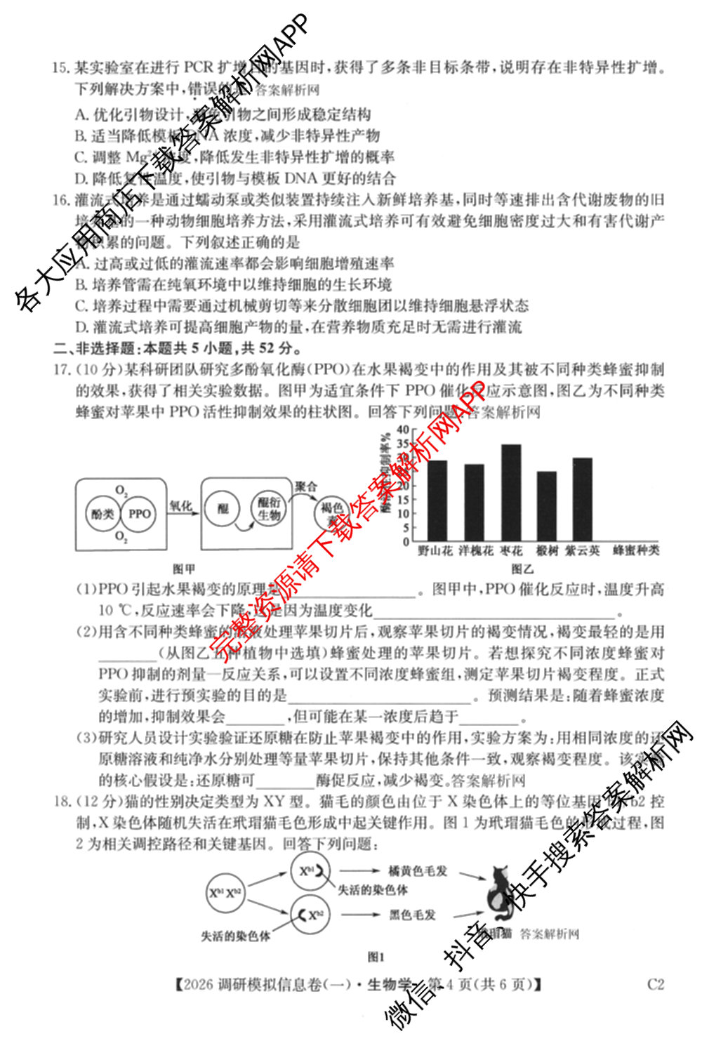 2026届全国高考调研模拟信息卷(一)1各科答案及试卷（含生物(C4) 生物(C2) 物理(C1)等）生物试题