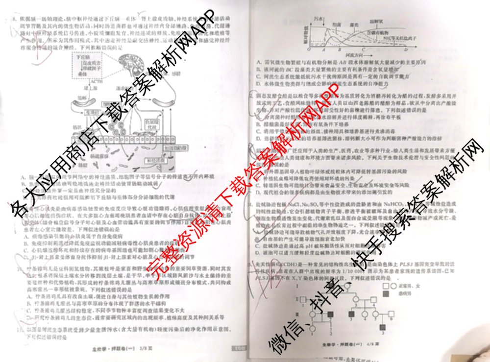 天舟高考衡中同卷2025年普通高等学校招生全国统一考试模拟押题卷(一)1试卷及答案汇总（34科全）生物试题