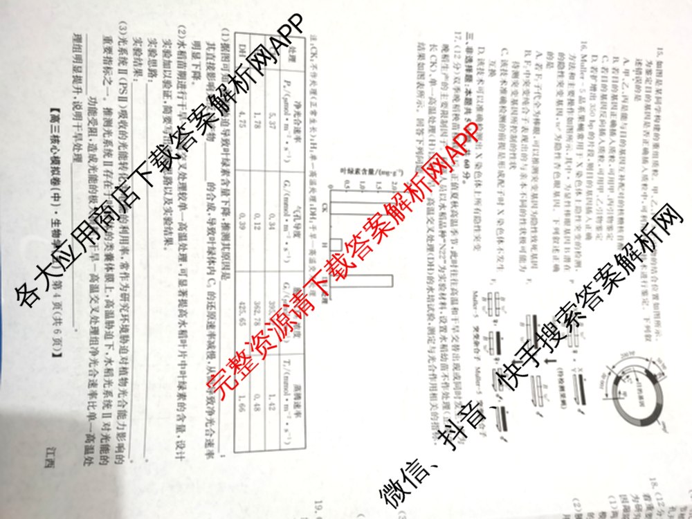 九师联盟2025~2026学年高三核心模拟卷(中)(五): 含政治(河南)、物理(HF)、英语试卷解析生物试题