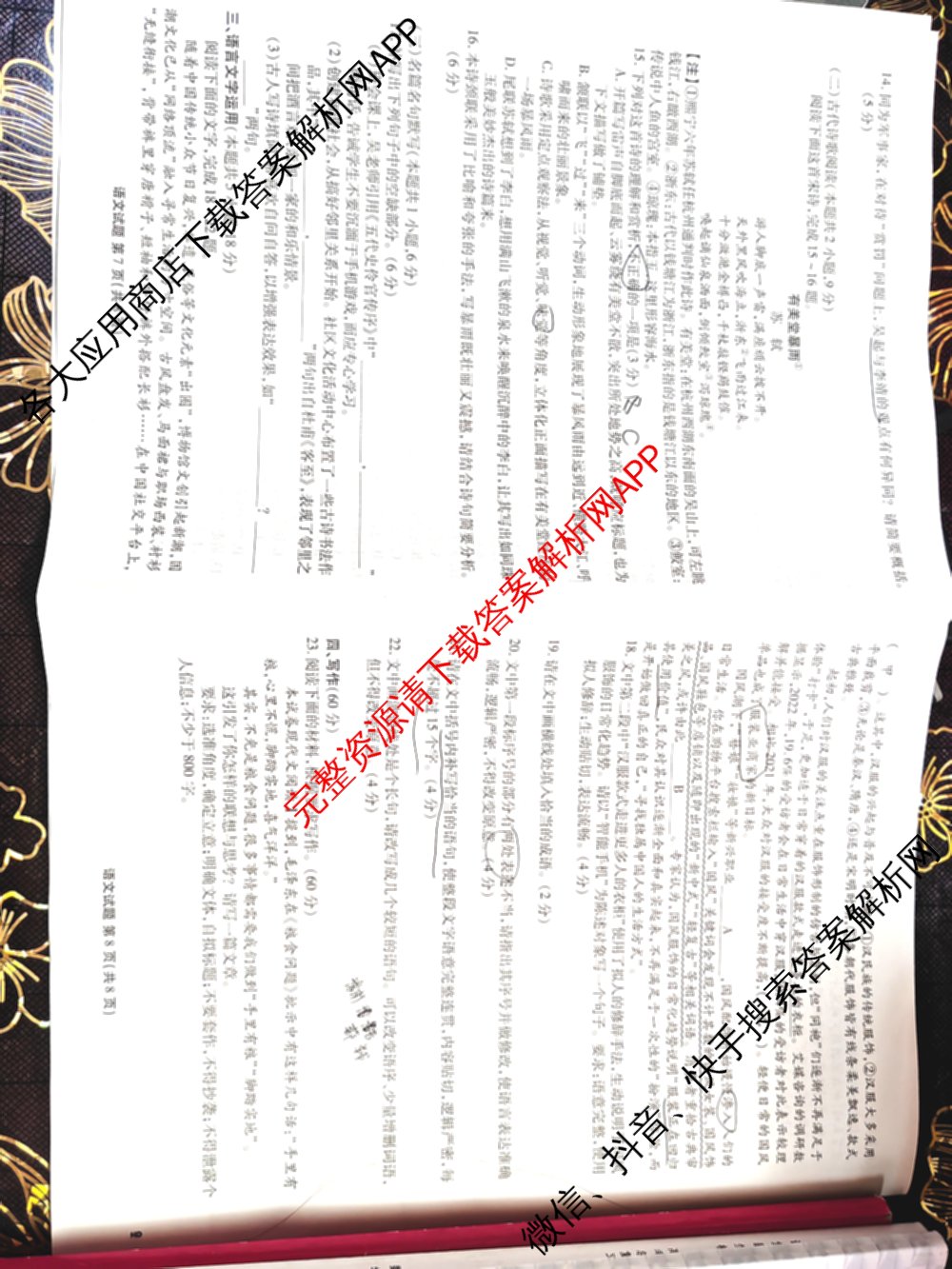 衡水金卷广东省2025届高三年级9月份联考各科答案及试卷（含英语 物理 历史等）语文试题