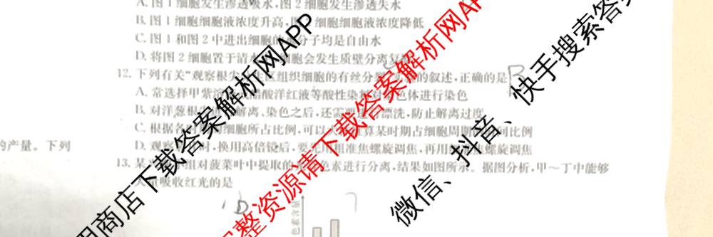 陕西2026届高三年级考试(9.29)试卷及答案汇总(已更新地理 英语 数学等9份)生物试题