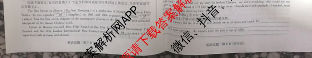 天一大联考2024-2025学年高中毕业班阶段性测试(一)试卷及答案汇总（含历史、物理、生物等）英语试题