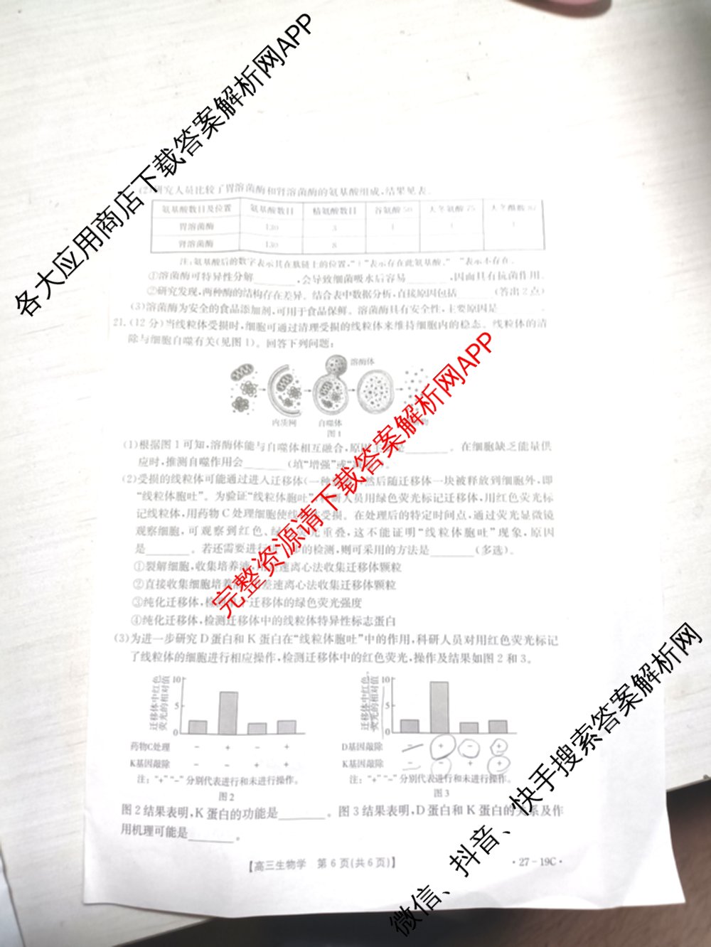 陕西省2027届高三考试(27-19C)试卷及答案汇总（含物理、历史(B2)、政治等10份）生物试题