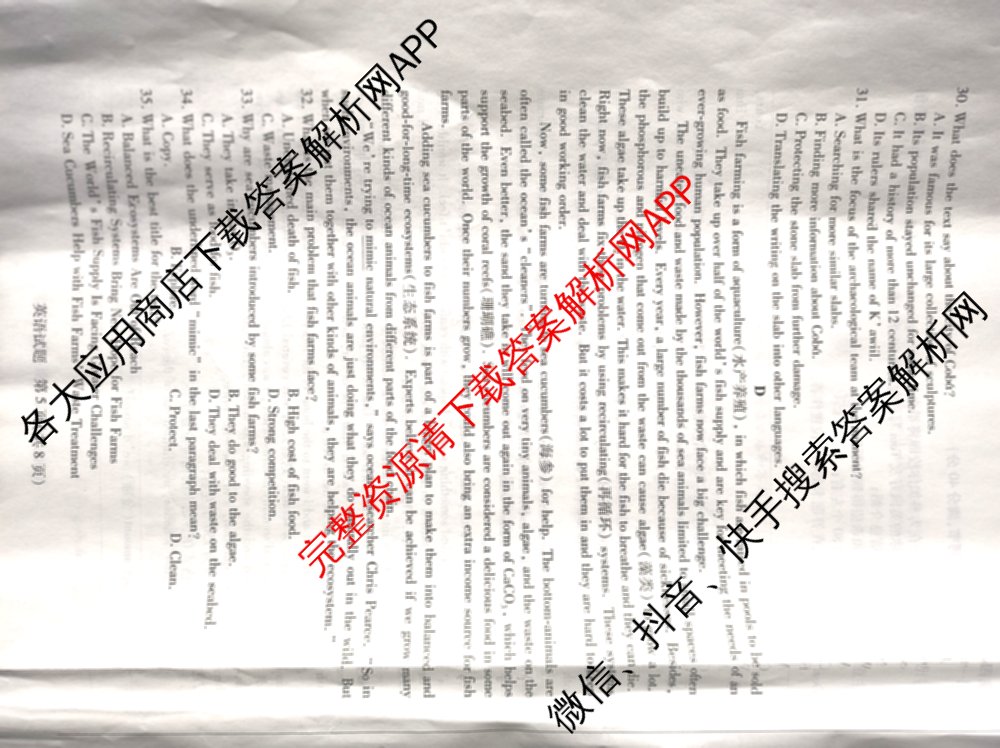 周口市普通高中2024-2025学年高一年级期末(上)联合考试试卷及答案汇总（含物理 政治 地理等9份）英语试题