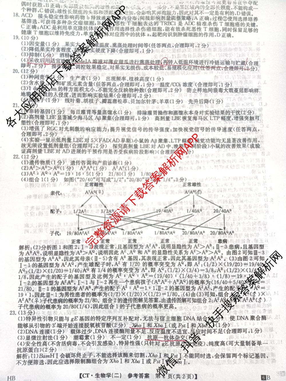 2026年普通高等学校招生全国统一考试猜题信息卷(二)2（含政治(B2)、化学(B2)、物理(B3)等）生物答案