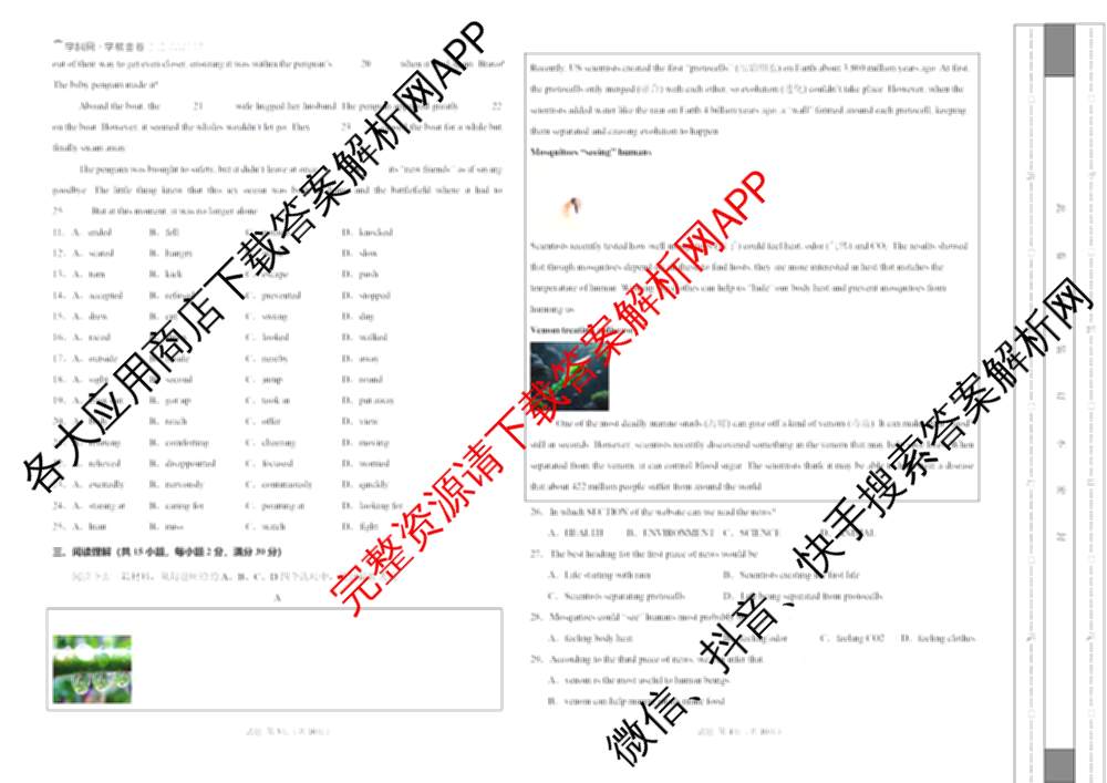 学易金卷2025-2026学年九年级上学期期末模拟卷（含数学 语文 道德与法治等）英语试题