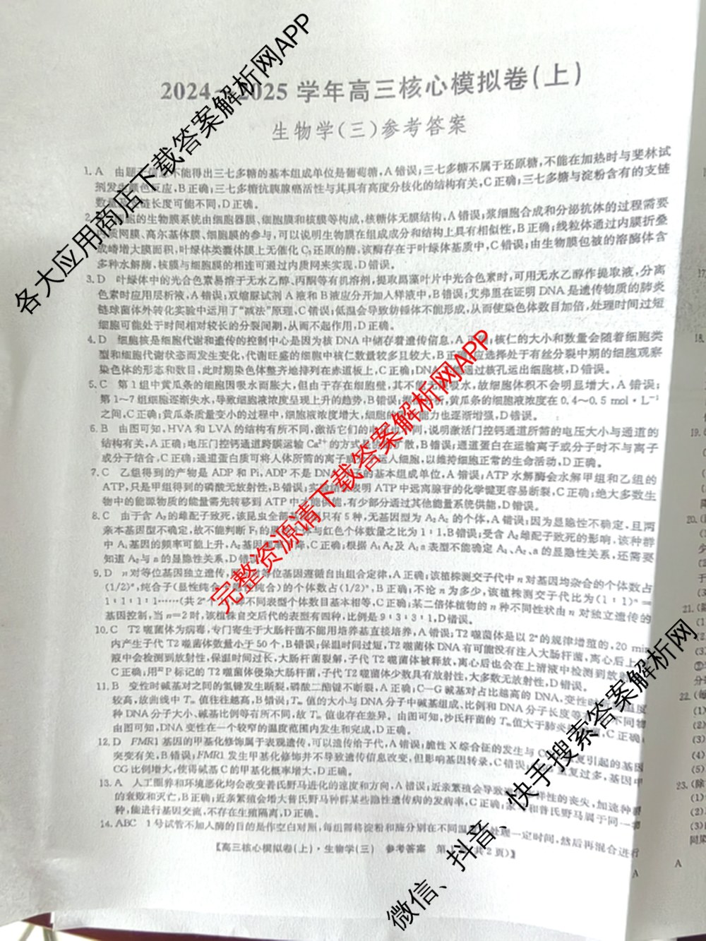 九师联盟2024~2025学年高三核心模拟卷(上)(三)3试卷及答案汇总: 含政治(A)、物理(HF)、语文试卷解析生物答案