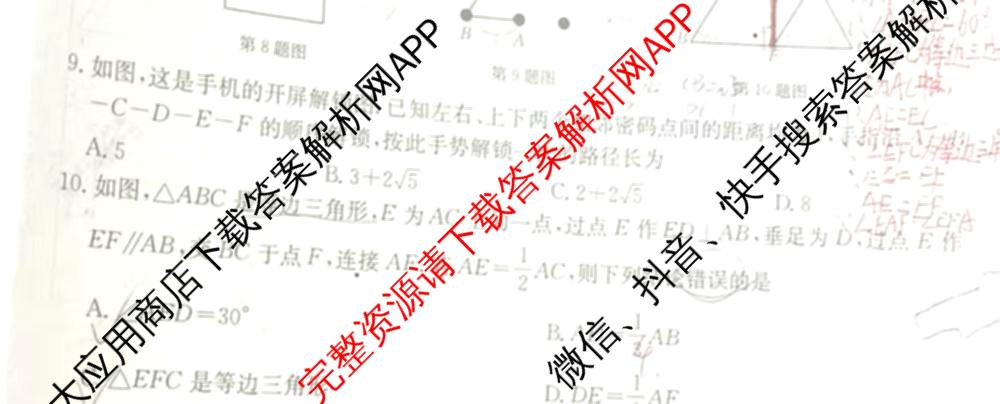 山西省2024~2025学年度八年级阶段评估(C)[PGZX D SHX(五)]试卷及答案汇总（含历史(R)、数学(HSD)、语文(R)等）数学试题
