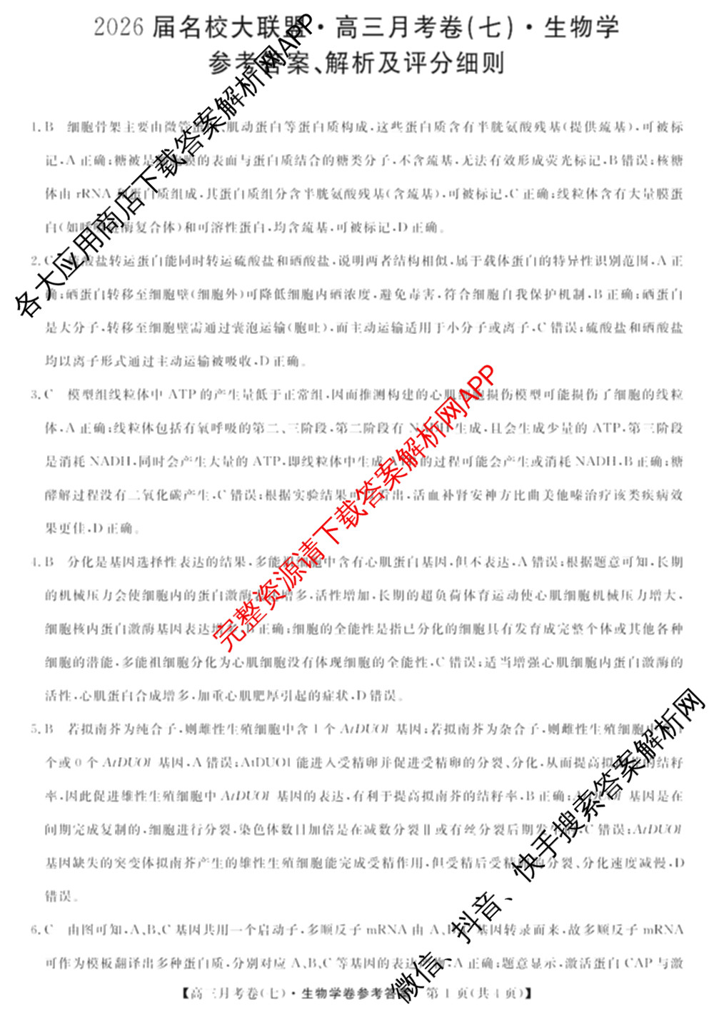 2026届名校大联盟高三月考卷(七)7试卷及答案汇总: 含数学 化学 历史试卷解析生物答案