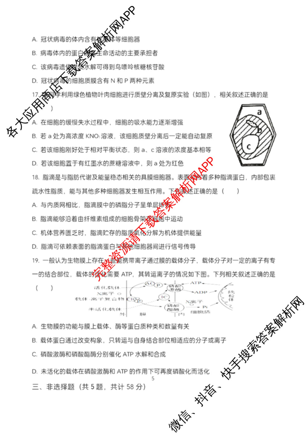 江苏省盐城市2025~2026学年度第一学期联盟校第一次联考高三年级（含地理 数学 语文等）生物试题