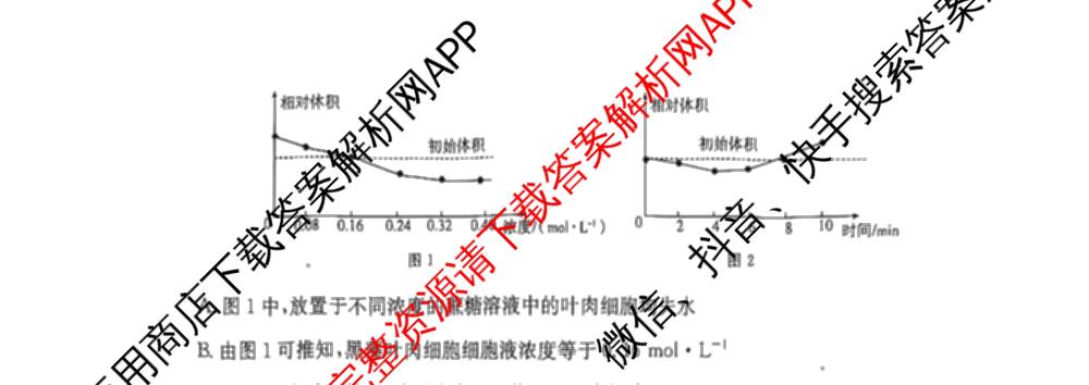 2025-2026年度上学期河南省高三年级第一次联考试卷及答案汇总（含英语、生物、数学等）生物试题