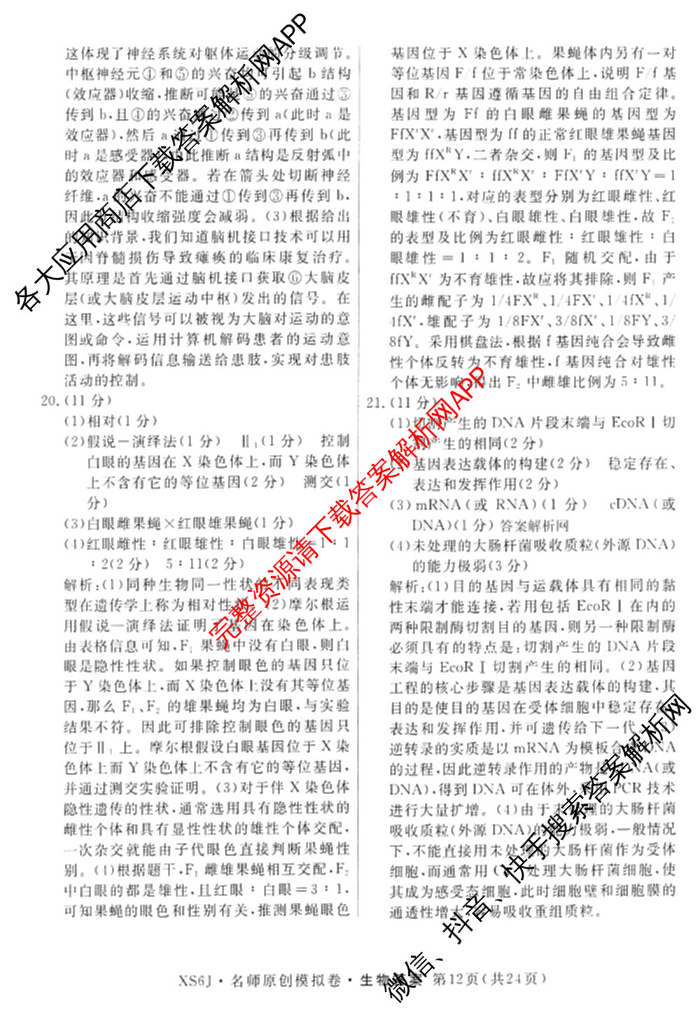 2026届高三总复习名师原创模拟(九)9(已更新物理(XS6JG) 化学(XS6JG) 生物(新S6J)等39份)生物答案