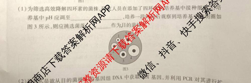 天一大联考2027届高三联考(★★★202609)(9.8)各科答案及试卷（含生物、化学、物理等）生物试题