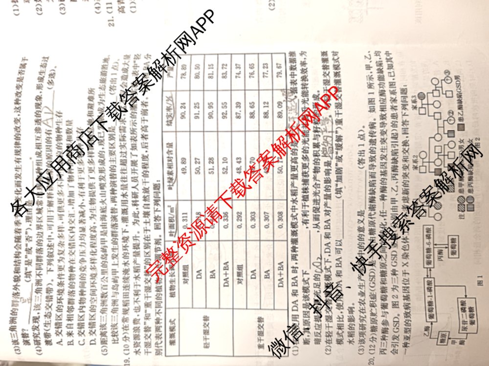 贵州省2026届高三学科核心素养训练(四个空心菱形)(2.26)试卷及答案汇总（含生物、化学、物理等9份）生物试题
