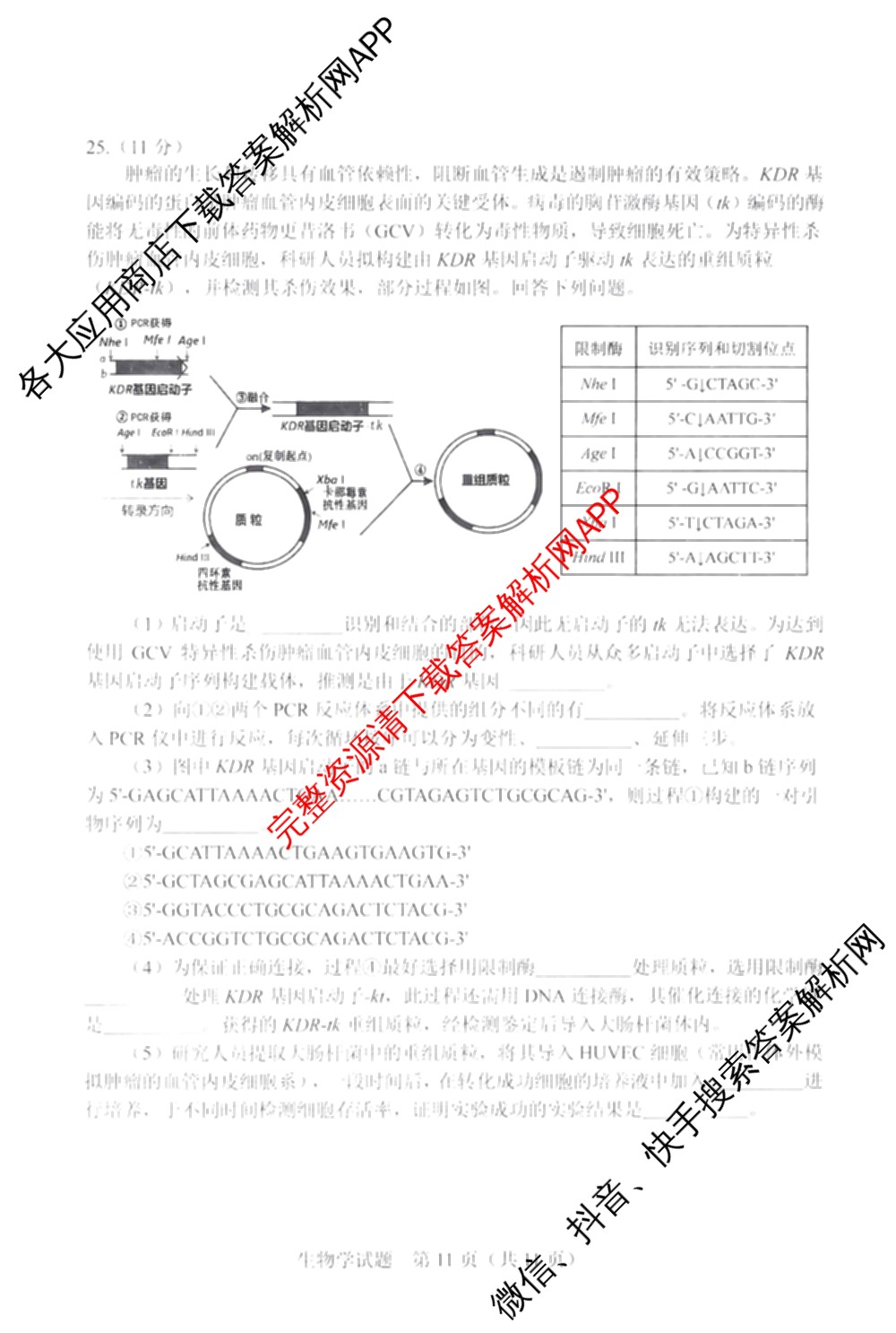 吉林省长春市2026届高三质量监测(二)各科答案及试卷（含历史、地理、生物等9份）生物试题