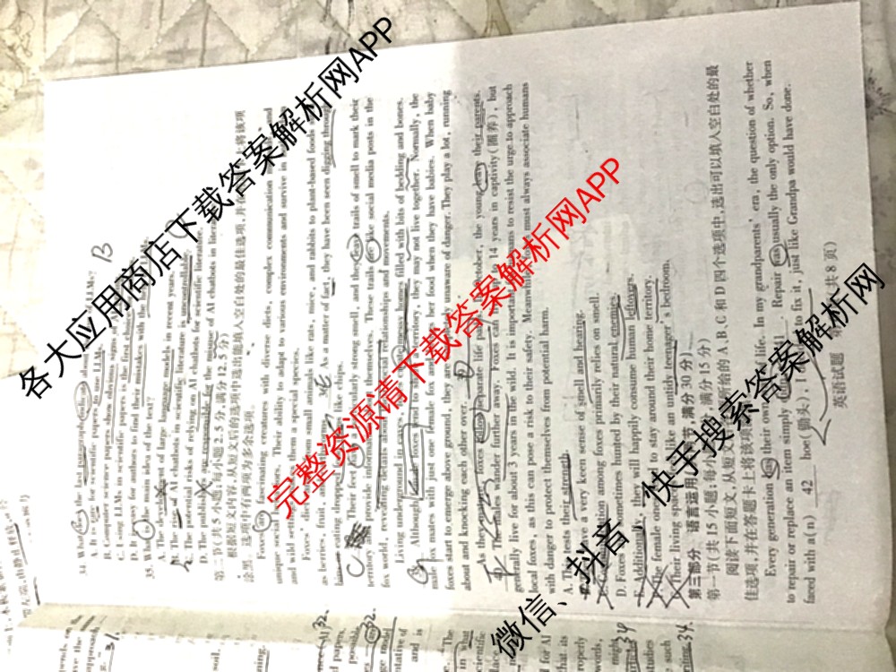 郴州市2025届高三期末(无标题12.28)各科答案及试卷（含英语 历史 地理等）英语试题